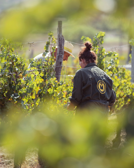 Conosciamo Tenuta Fertuna, essenza Toscana