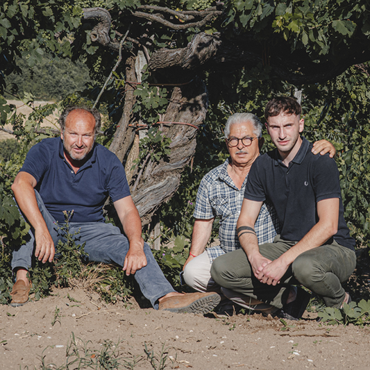 Masseria Frattasi, vini dal cuore campano
