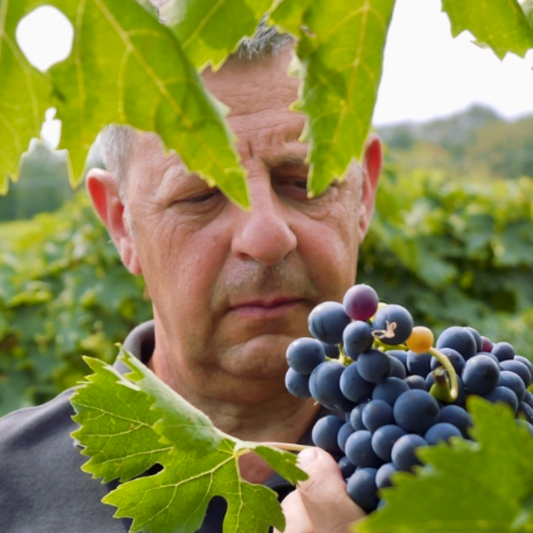 Le marche di Le Caniette